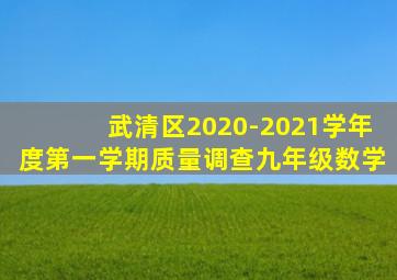 武清区2020-2021学年度第一学期质量调查九年级数学