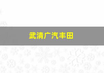 武清广汽丰田