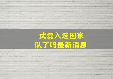 武磊入选国家队了吗最新消息