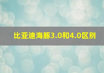 比亚迪海豚3.0和4.0区别