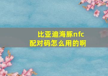 比亚迪海豚nfc配对码怎么用的啊