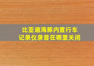 比亚迪海豚内置行车记录仪录音在哪里关闭