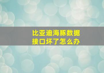 比亚迪海豚数据接口坏了怎么办