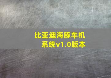 比亚迪海豚车机系统v1.0版本