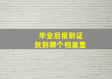 毕业后报到证放到哪个档案里