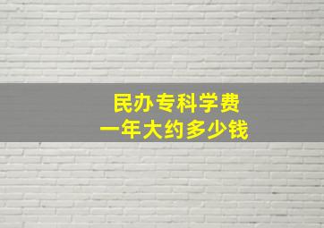 民办专科学费一年大约多少钱