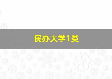 民办大学1类