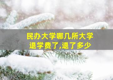 民办大学哪几所大学退学费了,退了多少