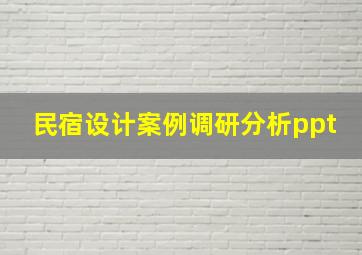 民宿设计案例调研分析ppt