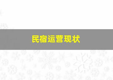 民宿运营现状