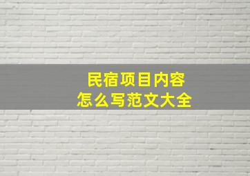 民宿项目内容怎么写范文大全