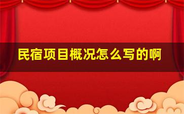 民宿项目概况怎么写的啊