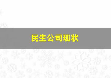 民生公司现状