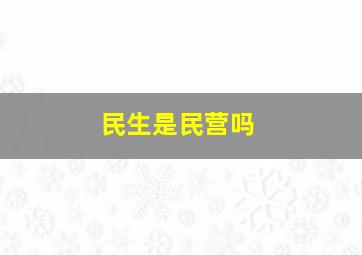 民生是民营吗