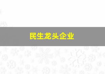 民生龙头企业