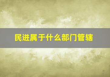 民进属于什么部门管辖