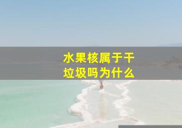 水果核属于干垃圾吗为什么