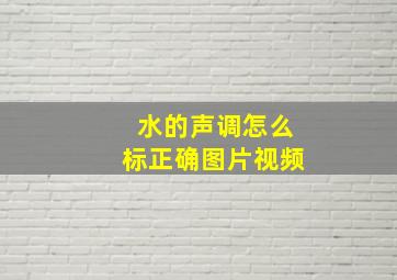 水的声调怎么标正确图片视频