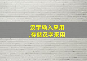 汉字输入采用,存储汉字采用