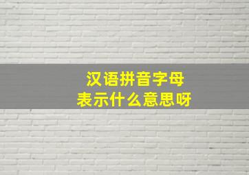 汉语拼音字母表示什么意思呀