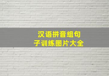 汉语拼音组句子训练图片大全