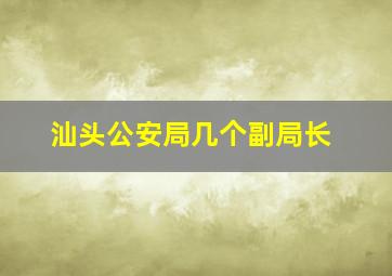 汕头公安局几个副局长