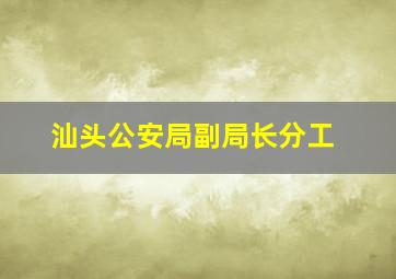 汕头公安局副局长分工