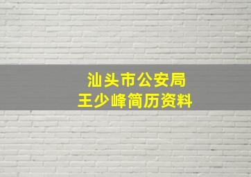 汕头市公安局王少峰简历资料