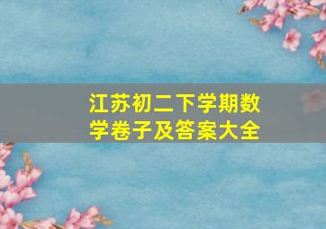 江苏初二下学期数学卷子及答案大全