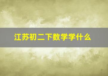 江苏初二下数学学什么