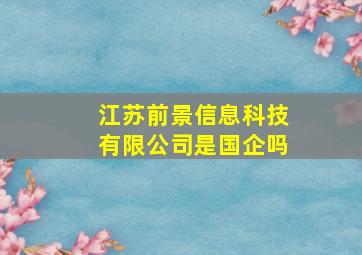 江苏前景信息科技有限公司是国企吗