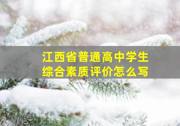 江西省普通高中学生综合素质评价怎么写