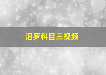 汨罗科目三视频