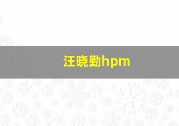 汪晓勤hpm