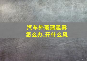 汽车外玻璃起雾怎么办,开什么风