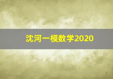 沈河一模数学2020