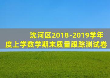 沈河区2018-2019学年度上学数学期末质量跟踪测试卷