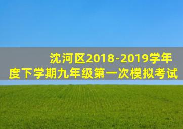 沈河区2018-2019学年度下学期九年级第一次模拟考试