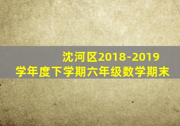 沈河区2018-2019学年度下学期六年级数学期末