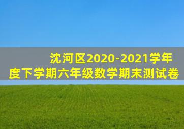 沈河区2020-2021学年度下学期六年级数学期末测试卷