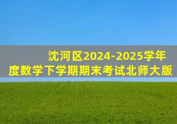 沈河区2024-2025学年度数学下学期期末考试北师大版