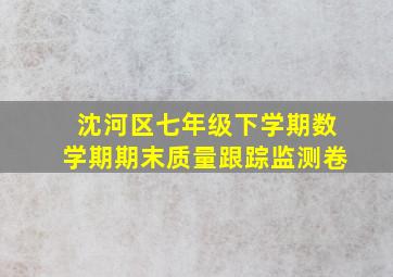 沈河区七年级下学期数学期期末质量跟踪监测卷