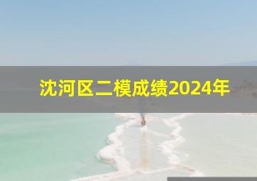 沈河区二模成绩2024年