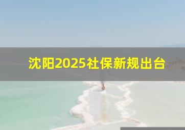 沈阳2025社保新规出台