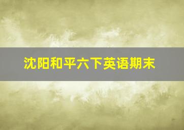 沈阳和平六下英语期末