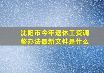 沈阳市今年退休工资调整办法最新文件是什么