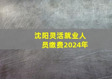 沈阳灵活就业人员缴费2024年