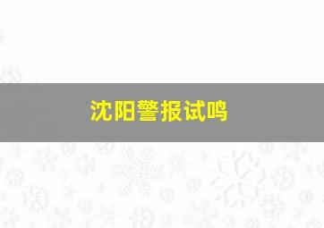 沈阳警报试鸣