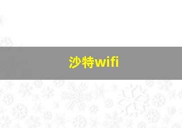 沙特wifi