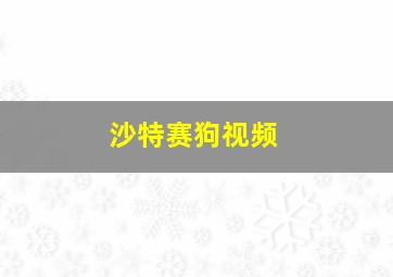 沙特赛狗视频